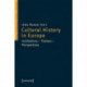 Cultural History in Europe: Institutions-Themes-Perspectives