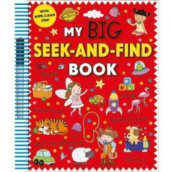 My Big Seek-and-Find Book