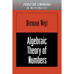 Algebraic Theory of Numbers