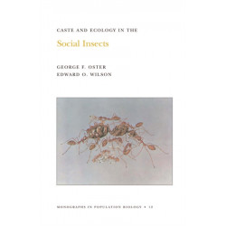 Caste and Ecology in the Social Insects