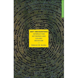 Ant Encounters: Interaction Networks and Colony Behavior