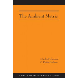 The Ambient Metric