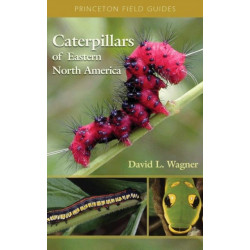 Caterpillars of Eastern North America: A Guide to Identification and Natural History