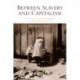 Between Slavery and Capitalism: The Legacy of Emancipation in the American South