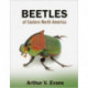 Beetles of Eastern North America