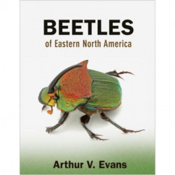 Beetles of Eastern North America
