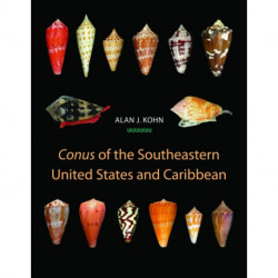 Conus of the Southeastern United States and Caribbean