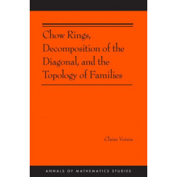 Chow Rings, Decomposition of the Diagonal, and the Topology of Families