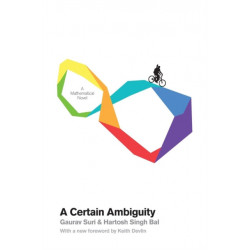 A Certain Ambiguity: A Mathematical Novel