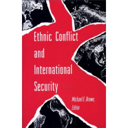 Ethnic Conflict and International Security