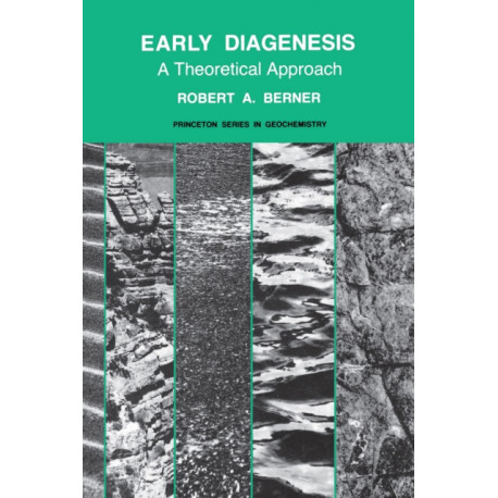 Early Diagenesis: A Theoretical Approach