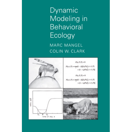 Dynamic Modeling in Behavioral Ecology
