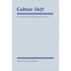 Culture Shift in Advanced Industrial Society