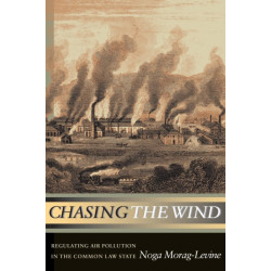 Chasing the Wind: Regulating Air Pollution in the Common Law State