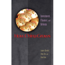 How China Grows: Investment, Finance, and Reform