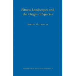 Fitness Landscapes and the Origin of Species