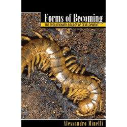 Forms of Becoming: The Evolutionary Biology of Development