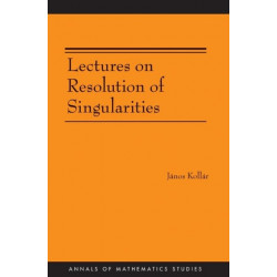 Lectures on Resolution of Singularities