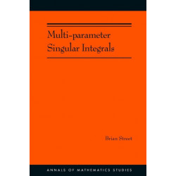Multi-parameter Singular Integrals, Volume I