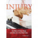 Injury: The Politics of Product Design and Safety Law in the United States