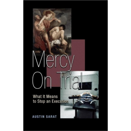 Mercy on Trial: What It Means to Stop an Execution