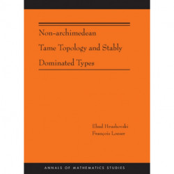 Non-Archimedean Tame Topology and Stably Dominated Types