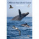 Offshore Sea Life ID Guide: East Coast