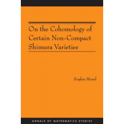 On the Cohomology of Certain Non-Compact Shimura Varieties