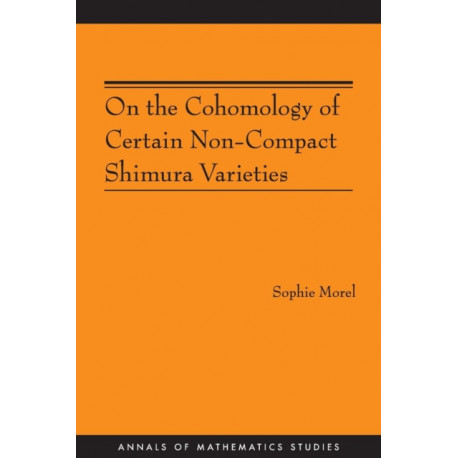 On the Cohomology of Certain Non-Compact Shimura Varieties