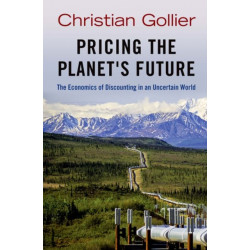 Pricing the Planet's Future: The Economics of Discounting in an Uncertain World