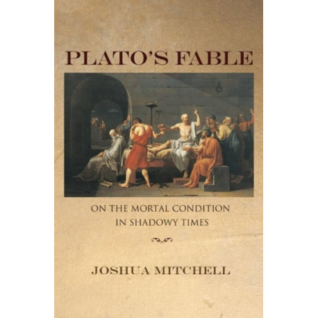 Plato's Fable: On the Mortal Condition in Shadowy Times