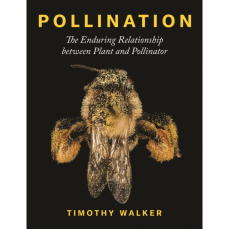 Pollination: The Enduring Relationship between Plant and Pollinator
