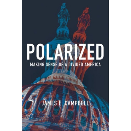 Polarized: Making Sense of a Divided America