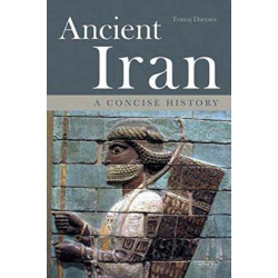 Ancient Iran: A Concise History