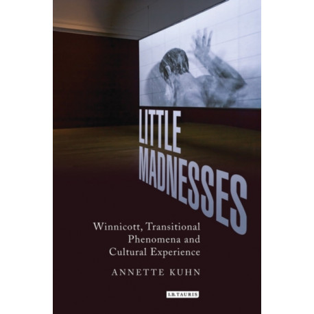 Little Madnesses: Winnicott, Transitional Phenomena and Cultural Experience