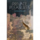 Private Pleasures: A Modern Egyptian Novel