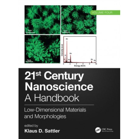 21st Century Nanoscience – A Handbook: Low-Dimensional Materials and Morphologies (Volume Four)