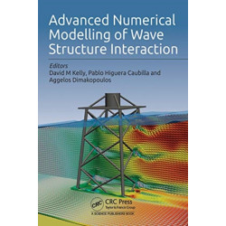 Advanced Numerical Modelling of Wave Structure Interaction