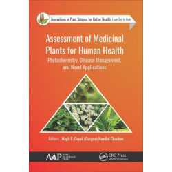 Assessment of Medicinal Plants for Human Health: Phytochemistry, Disease Management, and Novel Applications