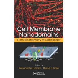 Cell Membrane Nanodomains: From Biochemistry to Nanoscopy
