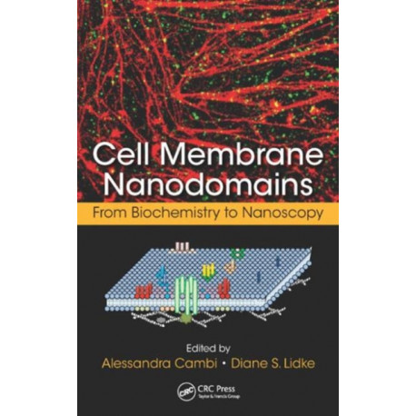 Cell Membrane Nanodomains: From Biochemistry to Nanoscopy