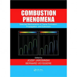 Combustion Phenomena: Selected Mechanisms of Flame Formation, Propagation and Extinction