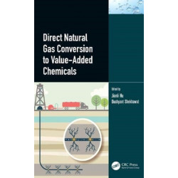 Direct Natural Gas Conversion to Value-Added Chemicals