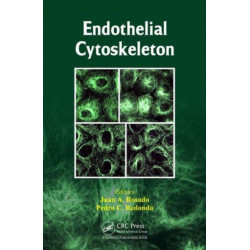 Endothelial Cytoskeleton