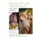 Equine Endoscopy and Arthroscopy for the Equine Practitioner