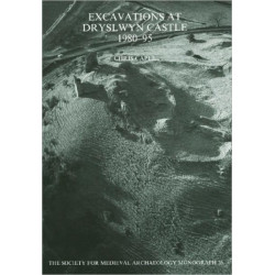 Excavations at Dryslwyn Castle 1980-1995