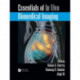 Essentials of In Vivo Biomedical Imaging