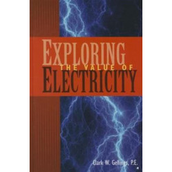 Exploring the Value of Electricity