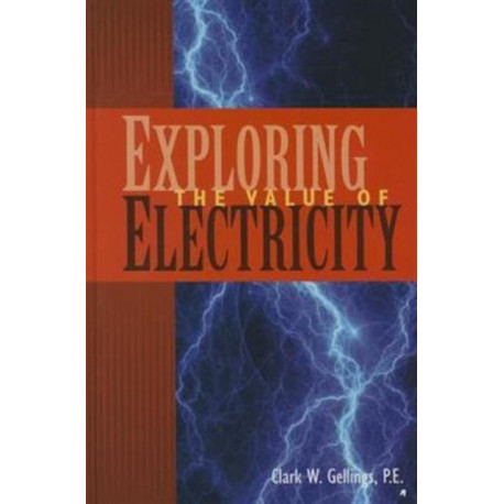Exploring the Value of Electricity