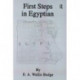 First Steps In Egyptian